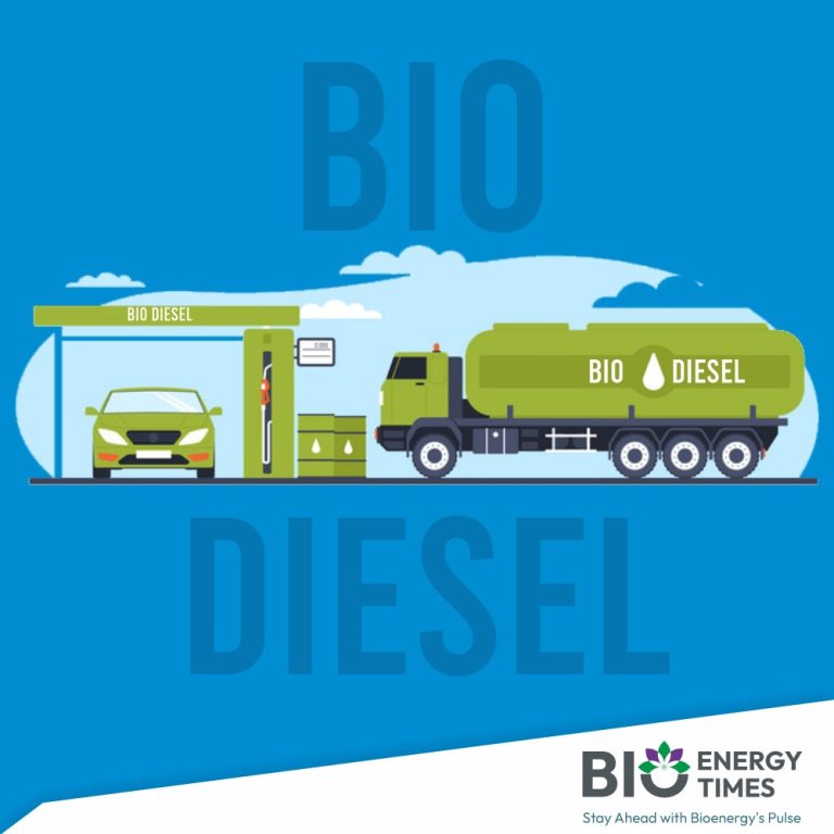 Biodiesel: The next big renewable story