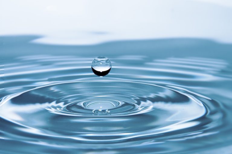 World Water Day: The water-energy nexus in bioenergy production
