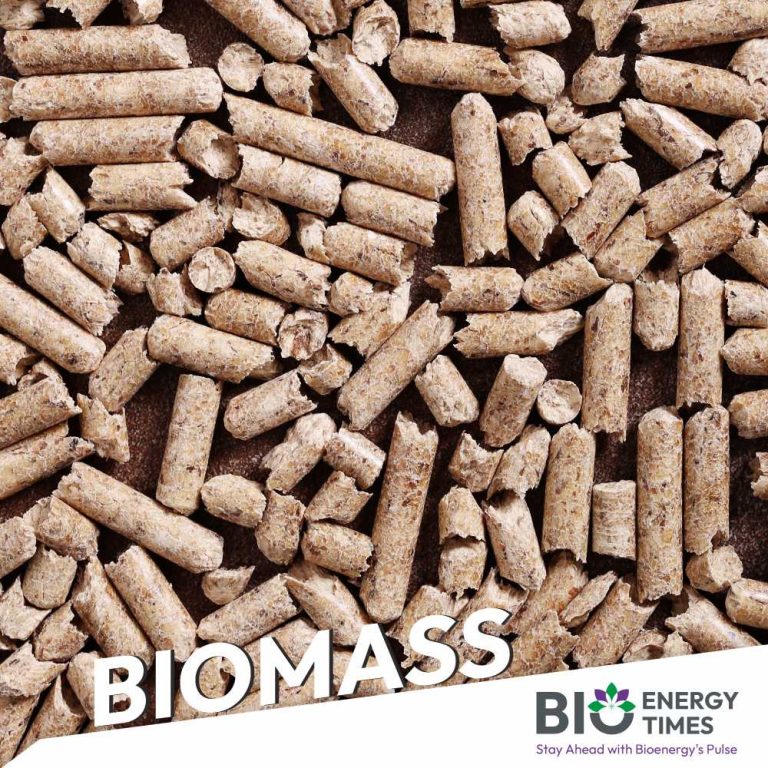 Biomass co-firing cuts over 35 lakh MT CO₂, Punjab stubble fires down 80%: CAQM