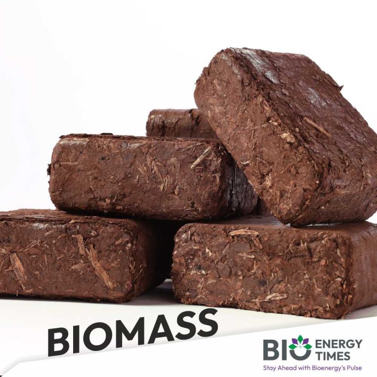 AI and Biomass together to create self-healing asphalt that could revolutionize road maintenance