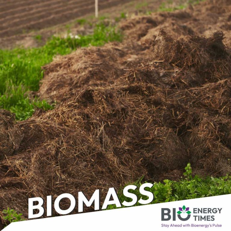 Infrastructure management company Ancala acquires 5 MW biomass facility in Croatia