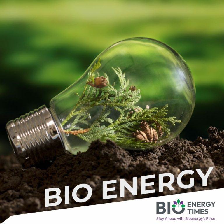 Jobs in bioenergy increase in 2023: US Department of Energy