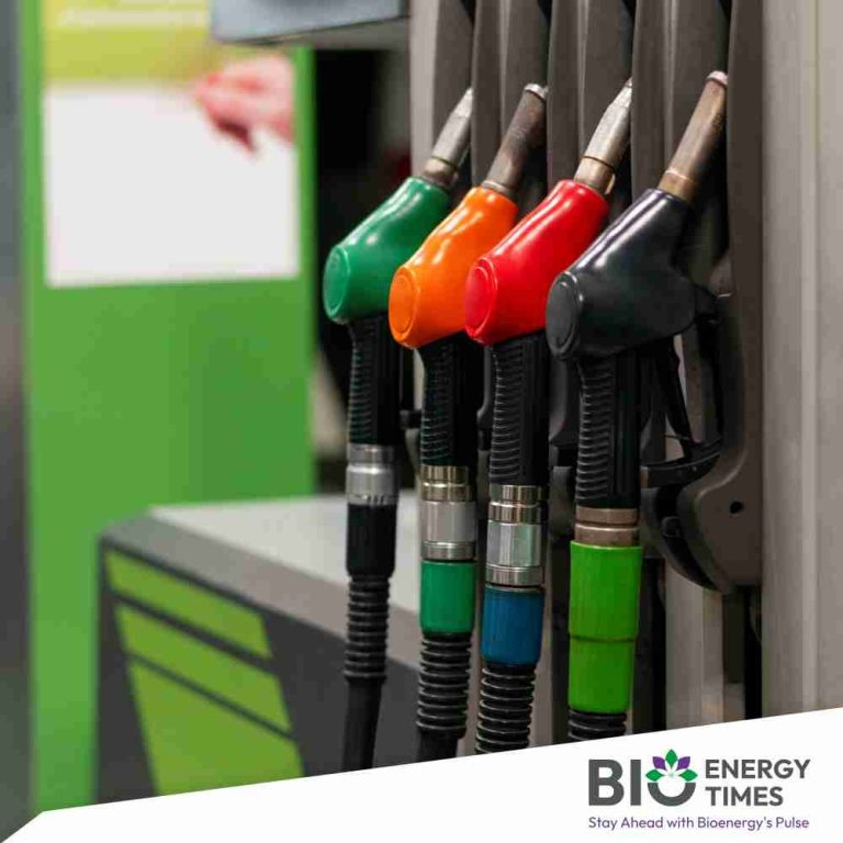 Vietnam to phase out conventional gasoline, shift to biofuel blends