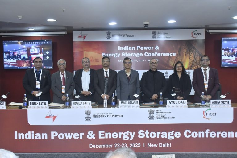 Powering the next leap, India eyes 230 GWh storage to meet 300 GW peak demand